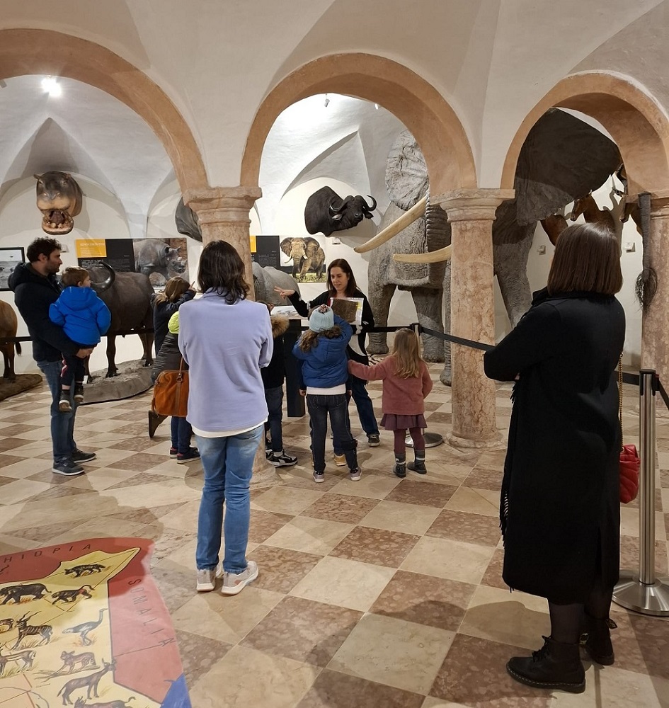 ⏰🏛NON PERDETE LE INTERESSANTI INIZIATIVE ORGANIZZATE DAI MUSEI ANMS!🍀🌏
👉Ecco il link alla nostra newsletter settimanale: mailchi.mp/025bab7220d2/g…
👀 Continuate a seguirci anche sul nostro sito: anms.it
👥 Per diventare Soci ANMS scrivete a: segreteria@anms.it