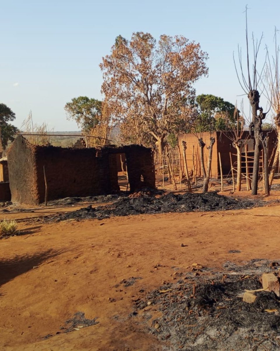 opendoorsnl's tweet image. ‼️ In #Mozambique is het christelijke dorp Napala verwoest.
20 doden, 1300 huizen verbrand, 2 kerken afgebrand en 2000 mensen op de vlucht. 💔 Van 9-12 oktober 2025 richtte terreurgroep Al-Shabaab dood en verwoesting aan. Bid voor de overlevenden en om vrede in Mozambique. 🙏
