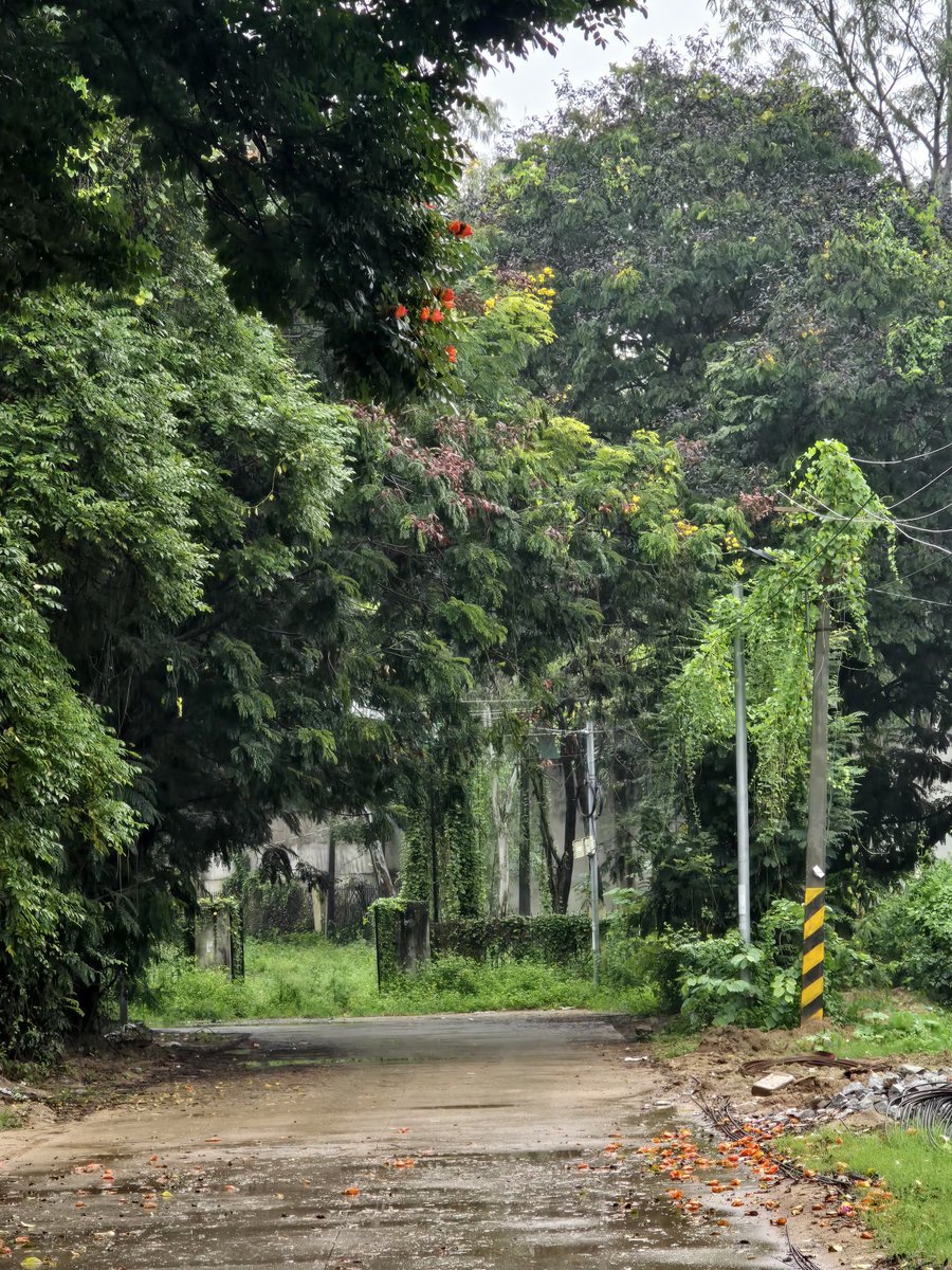 Hyderabad 🌧 seasons