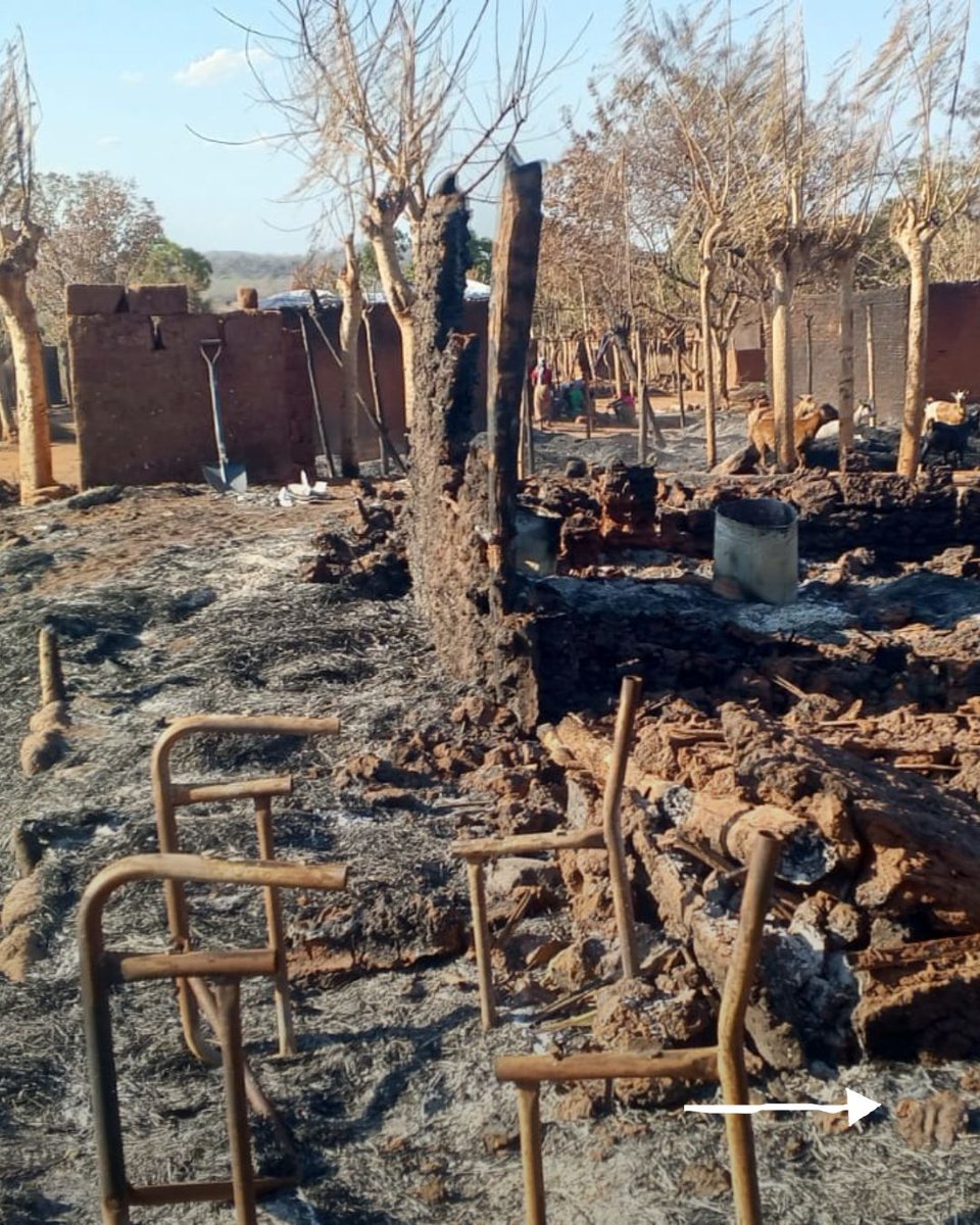 opendoorsnl's tweet image. ‼️ In #Mozambique is het christelijke dorp Napala verwoest.
20 doden, 1300 huizen verbrand, 2 kerken afgebrand en 2000 mensen op de vlucht. 💔 Van 9-12 oktober 2025 richtte terreurgroep Al-Shabaab dood en verwoesting aan. Bid voor de overlevenden en om vrede in Mozambique. 🙏