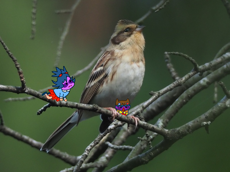 富士鷹なすび (@nasubifujitaka) / Posts / X