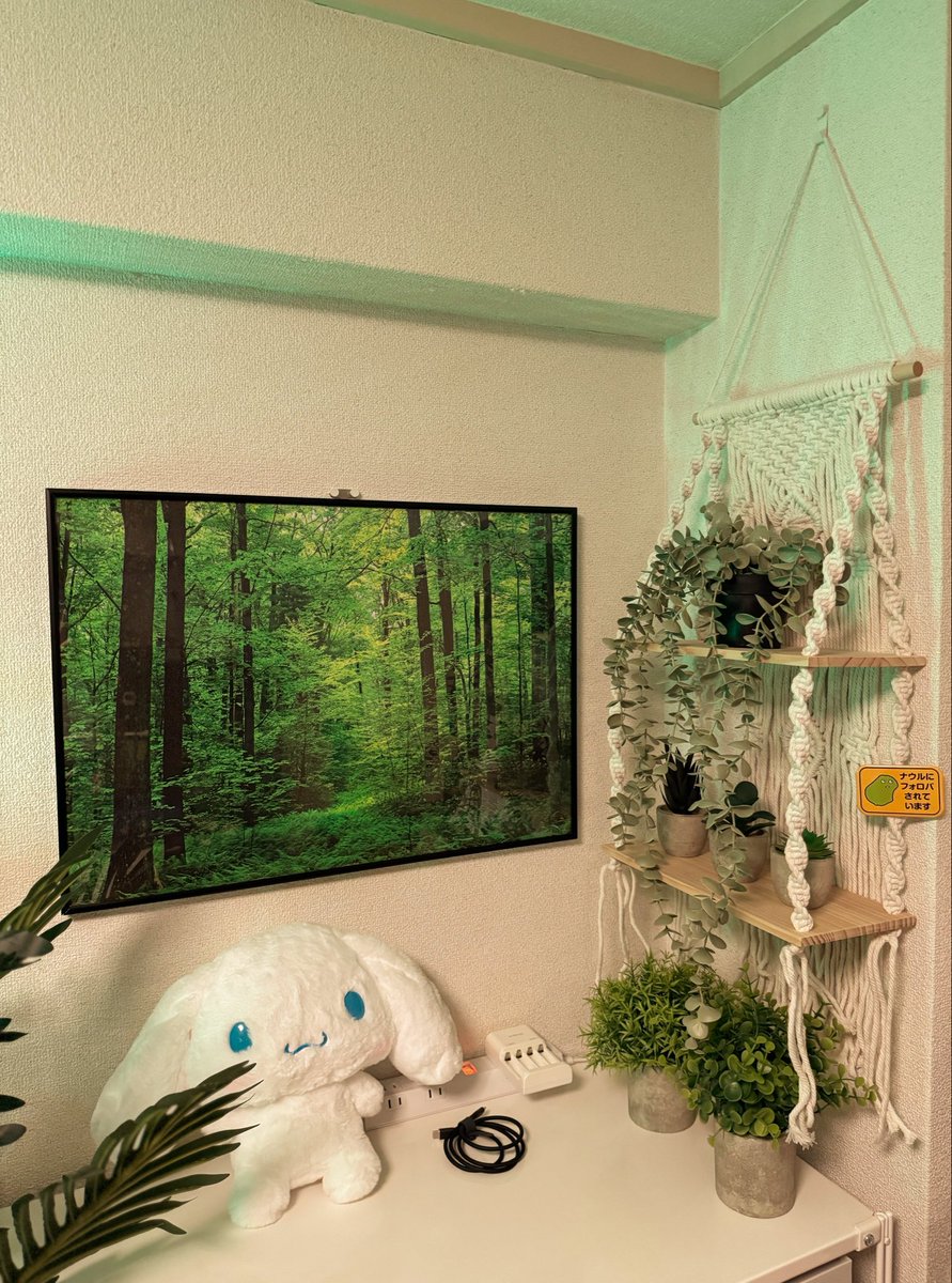 frontmanX_sh's tweet image. 夜ルーム
keikaku遂行。
右の壁面にフェイクグリーンを配置。
このタイプのファブリックな編み込みのやつ、ボヘミアンで合ってるのかな？
#roomsetup  #desksetup  #verticaldesign #botanical #minimalsetup #AestheticDesk 
#DeskTour