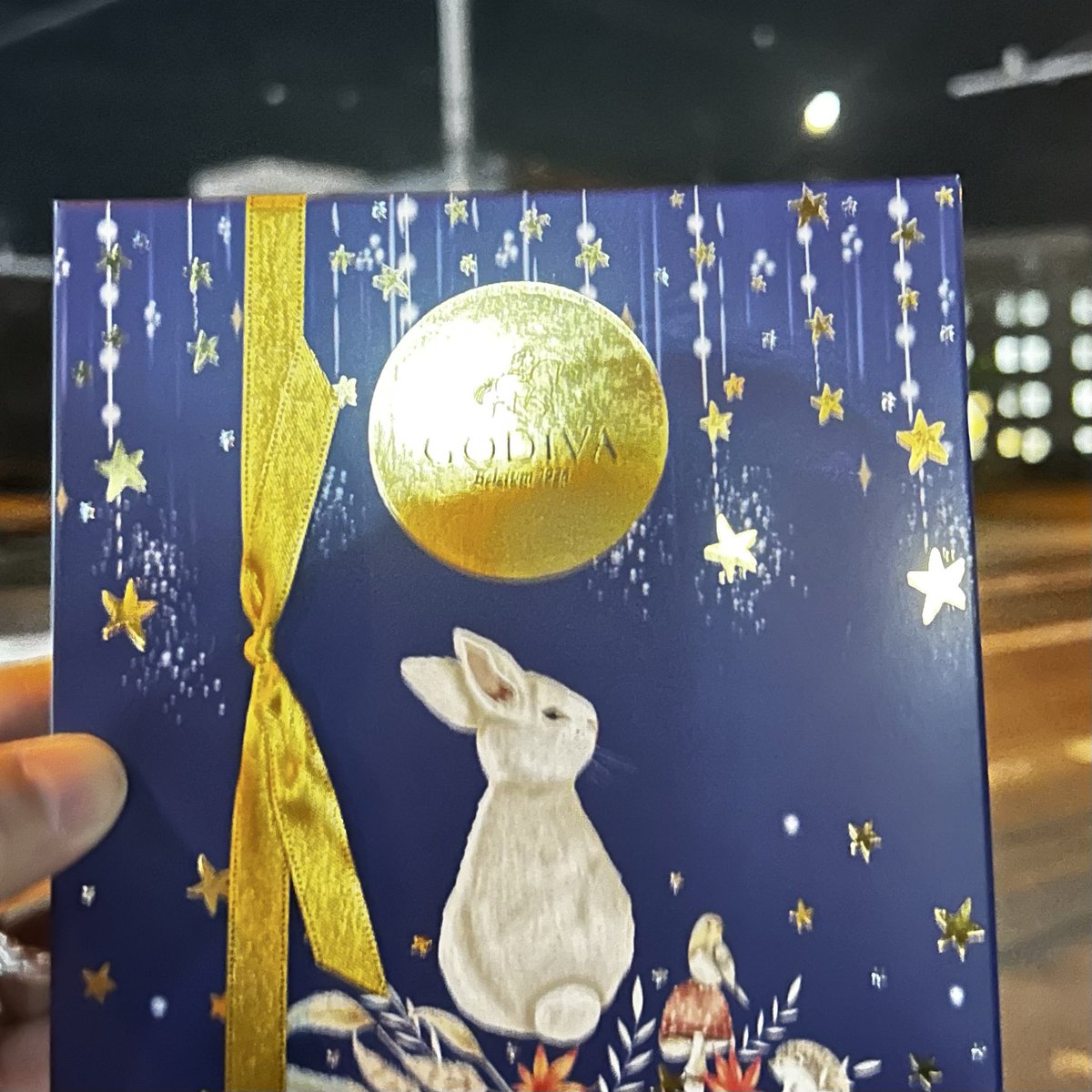 お疲れ様。
GODIVAのチョコレートに
癒されます。
