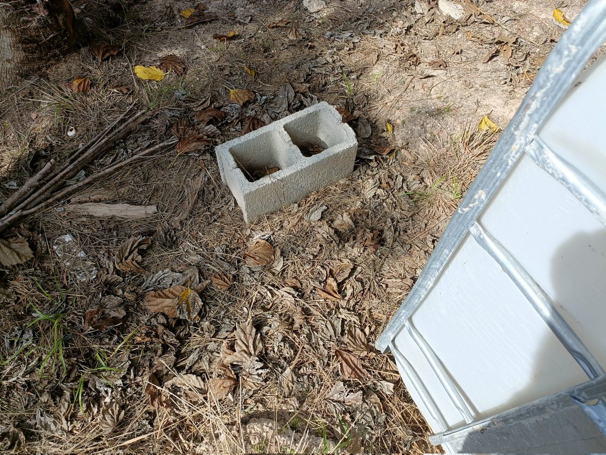 12/05/2022 20:05 horas.... Una fecha que nunca olvidaré. En mis brazos te fuistes y aquí descansas como te prometí que descansarías en paz. Ninguno de tus hermanos perrunos se atreve a tocar tú tumba. Siempre en mi corazón 😻😻😘😘