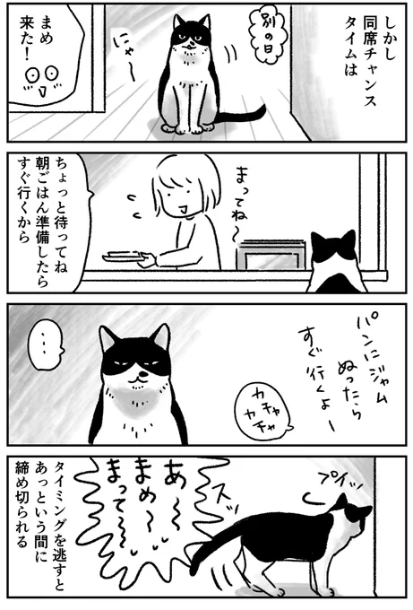 #第5回猫コミ新人賞 