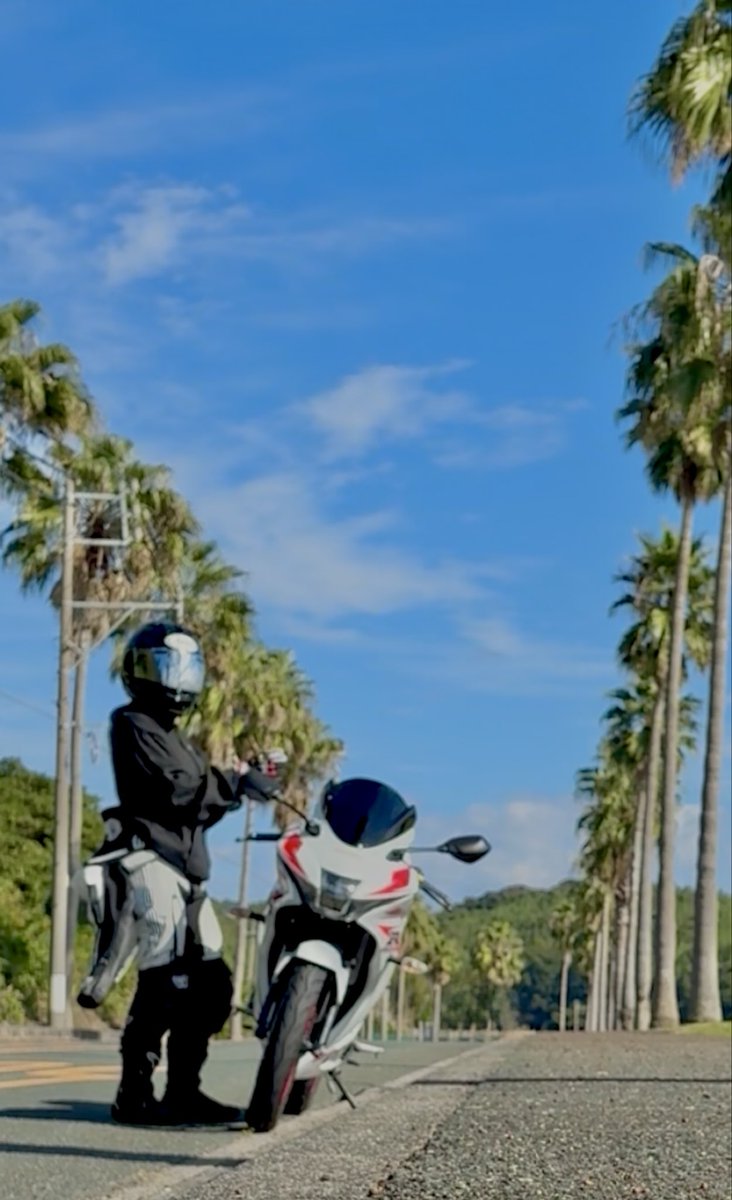 ぽんちゃん (@EQv57P3LtbAZOX5) / Posts / X