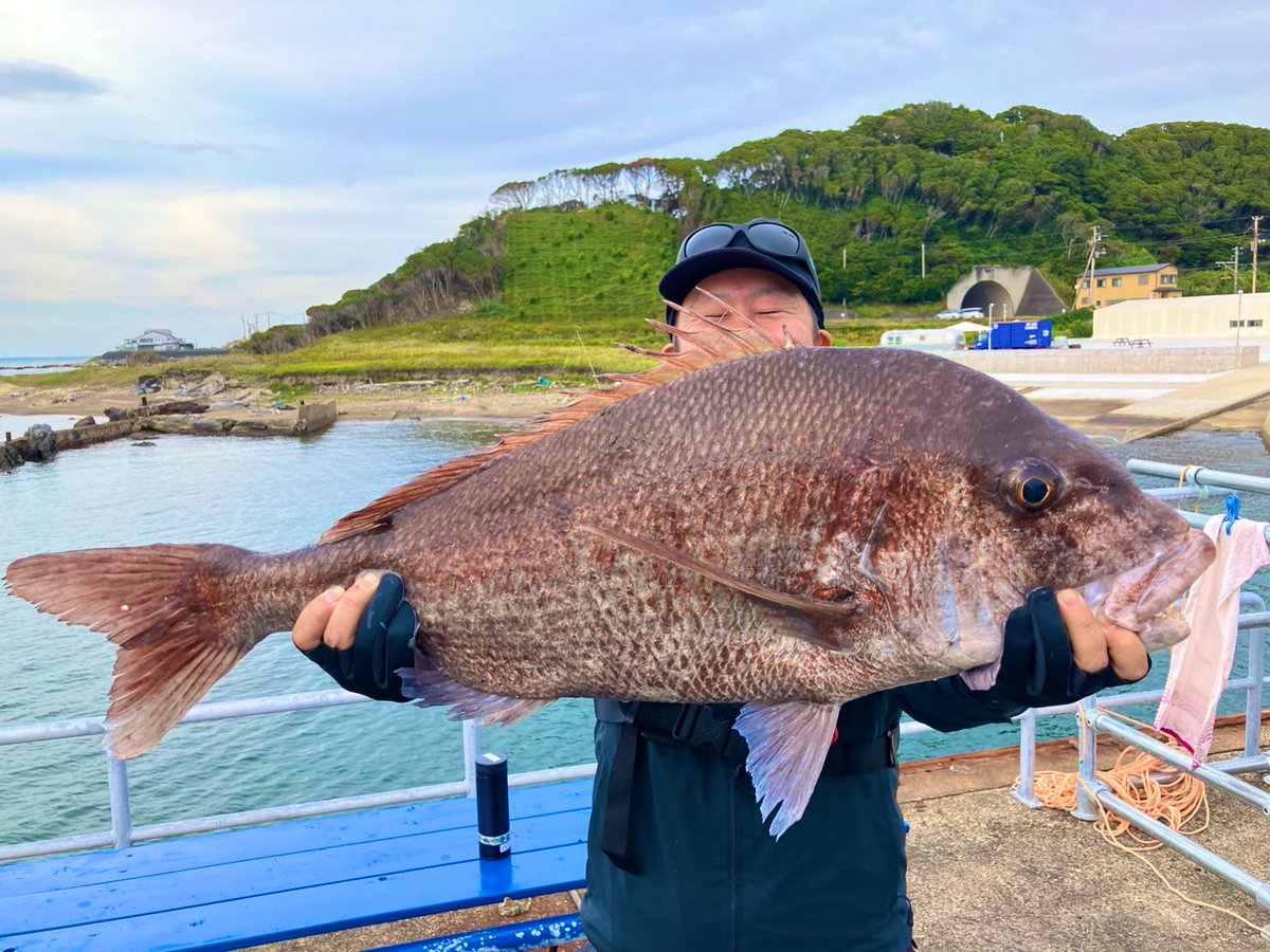 BlueBlueの富津市金谷にある貸切釣り場にて、オフ会中に巨大マダイが出ました！私はタモ入れを頑張りました……！緊張して足が震えました…。釣り方はドカーン釣りでした。