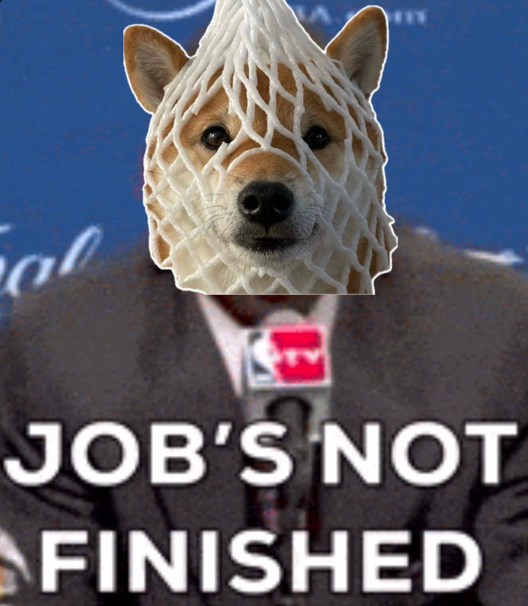 the dog stays wrapped $wDOG