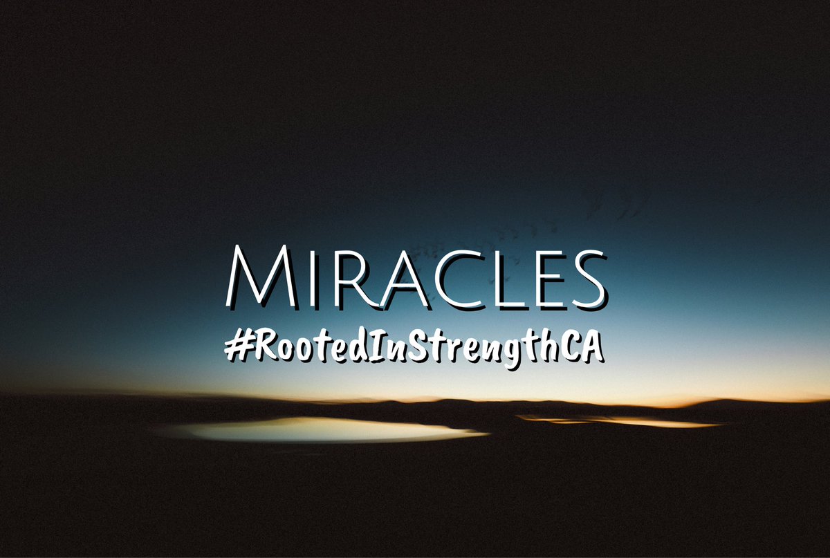 santiagoAM115's tweet photo. God’s work is Miracle work.
Psalm 111:2
#RootedInStrengthCA https://t.co/0bniKdUaDC