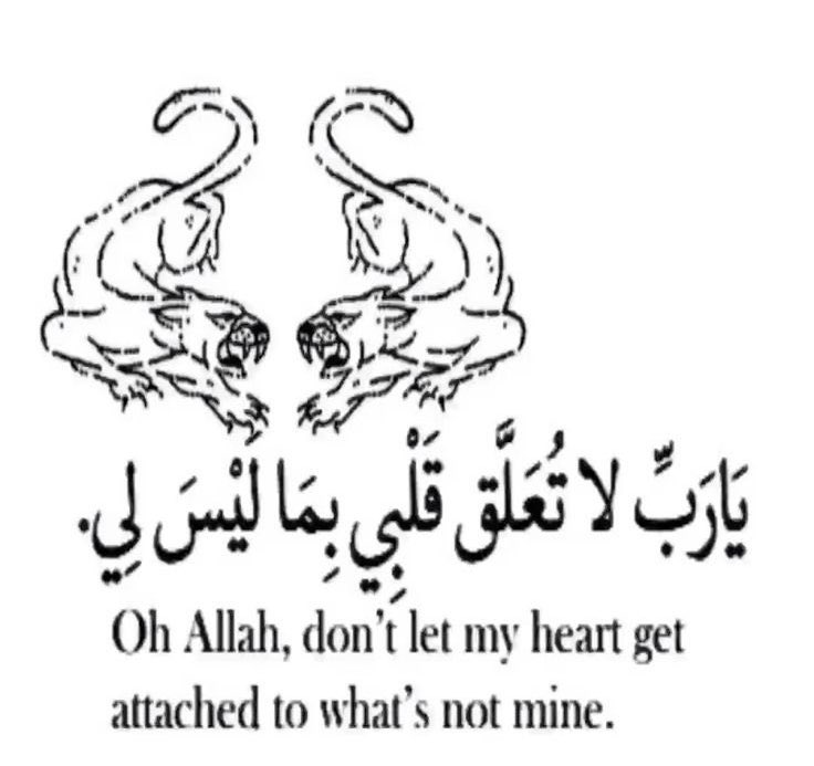 nickssteph's tweet image. 