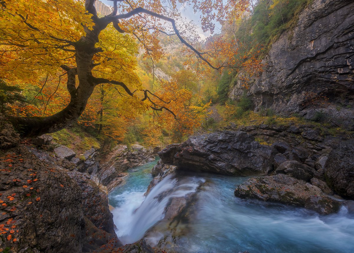 HugoVP55's tweet image. Añisclo, allá por el 2020