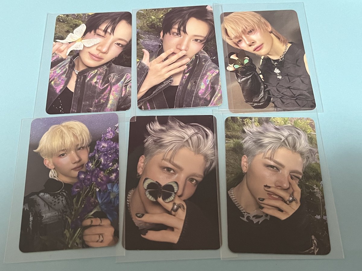 いぬ👑 tweet media