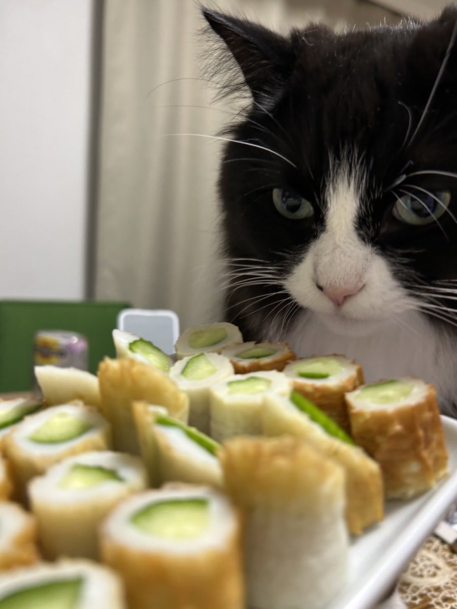 りりめろ🪼😈 (@SKSG0202) / Posts / X