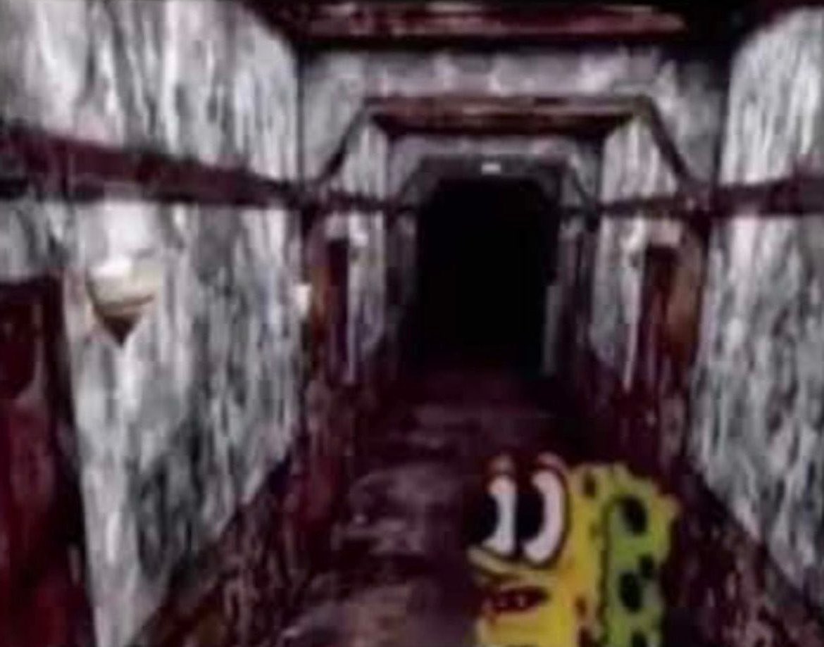 twilight                              twilight
princess                            princess 
gamecube                             wii