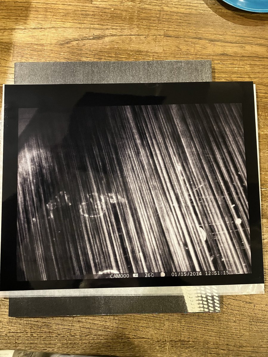 横田大輔さんの写真集がたくさん入荷。『Bilder』は紙ネガ(プリントと