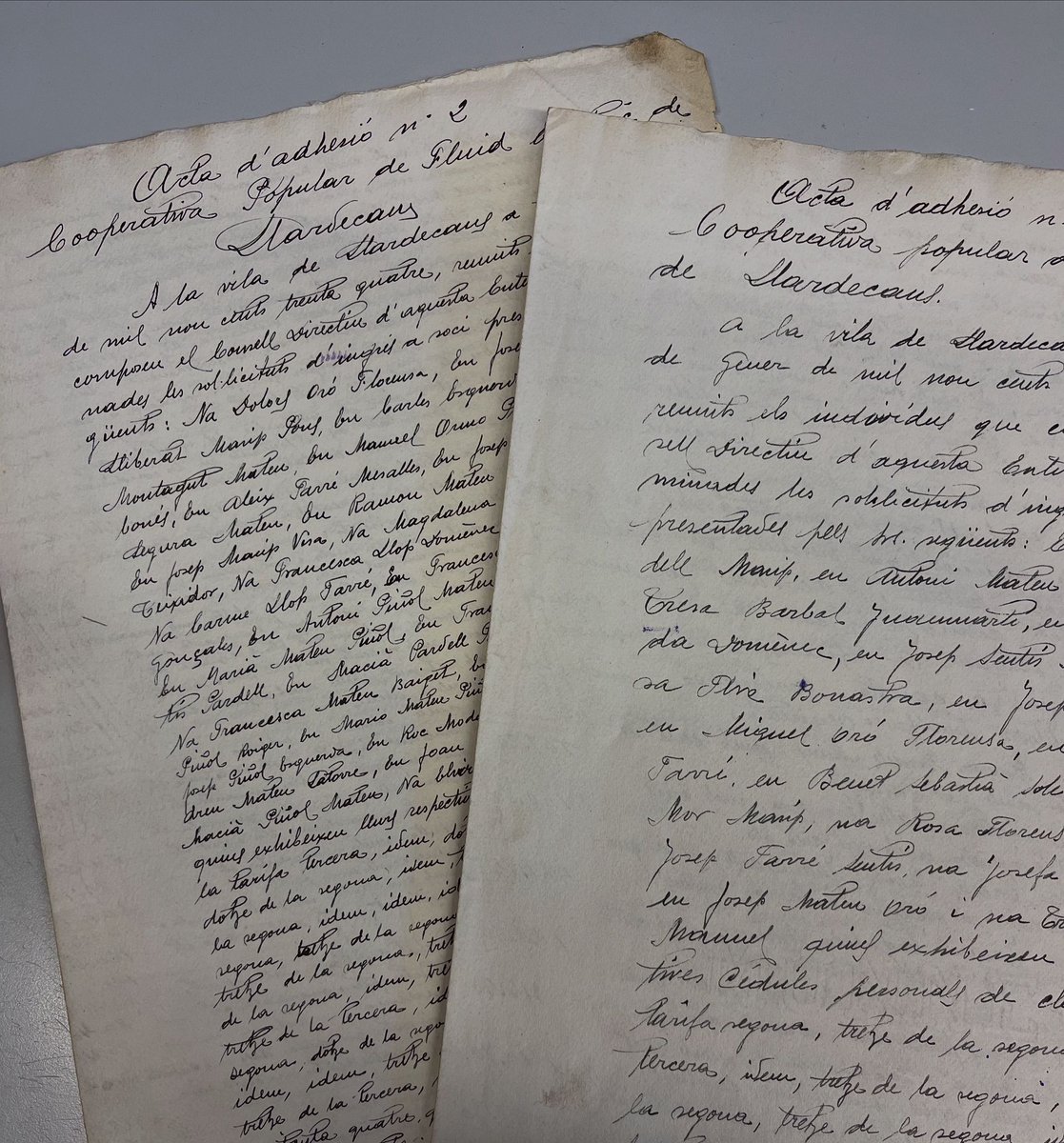 ahlleida tweet media