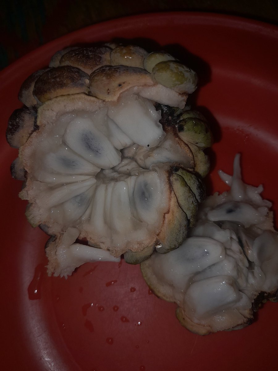 Sadiq hS' tweet media