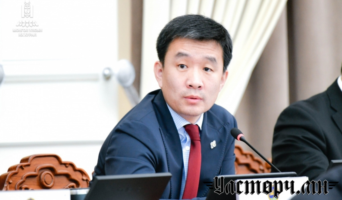 Шүүхээс ял авчихсан санхүүгийн авилгач хулгайчаар төсвийн зарлагаа хянуулна гэж шаасн.
..д. юмаа