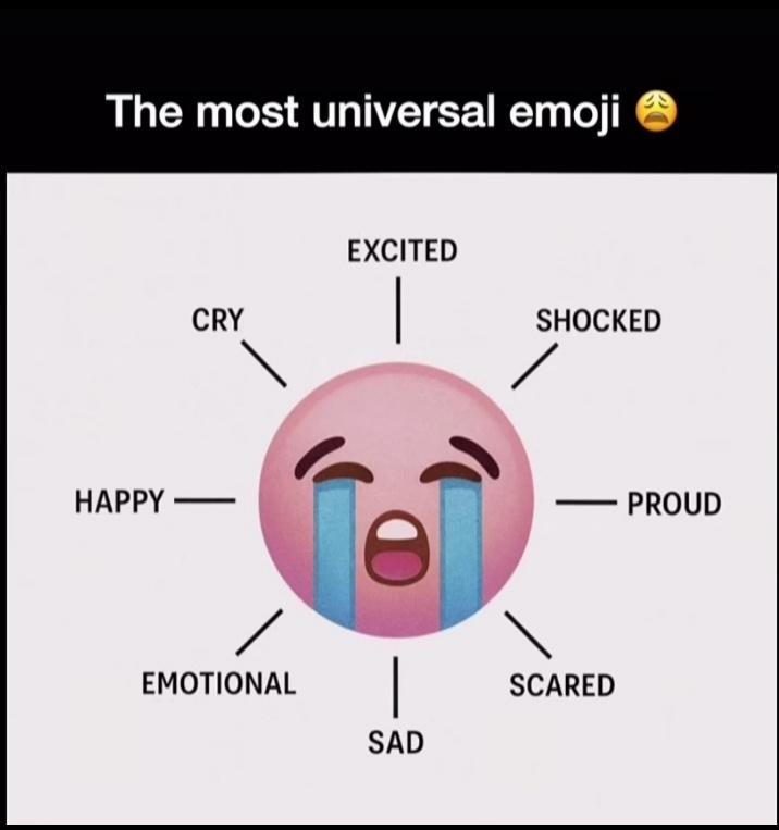 Is emoji nai katae confusion kar rakha hai,

Samjh nhi ata kon kis context mai use krraha hai 😂😂

Meri toh hasi nikal jati hai logo ko esa rota dekh kr 😂😂