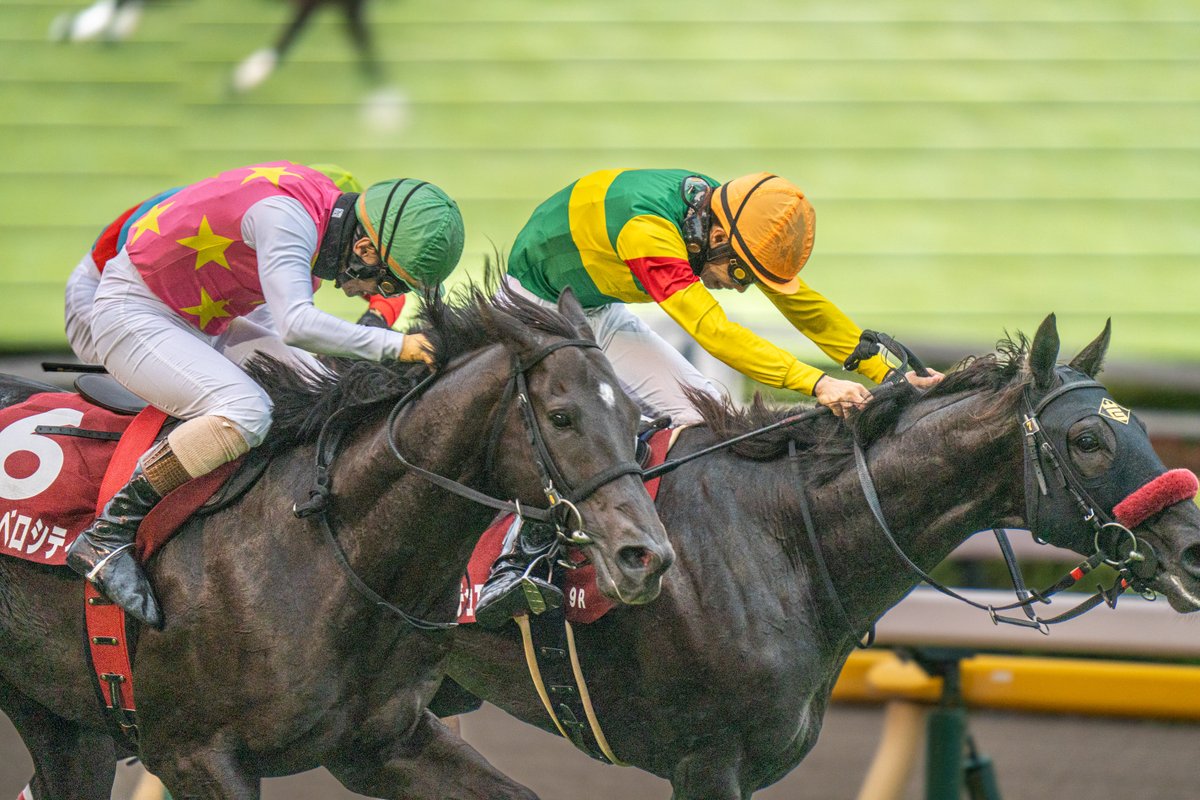 ぺそにき (@stzero315) / Posts / X