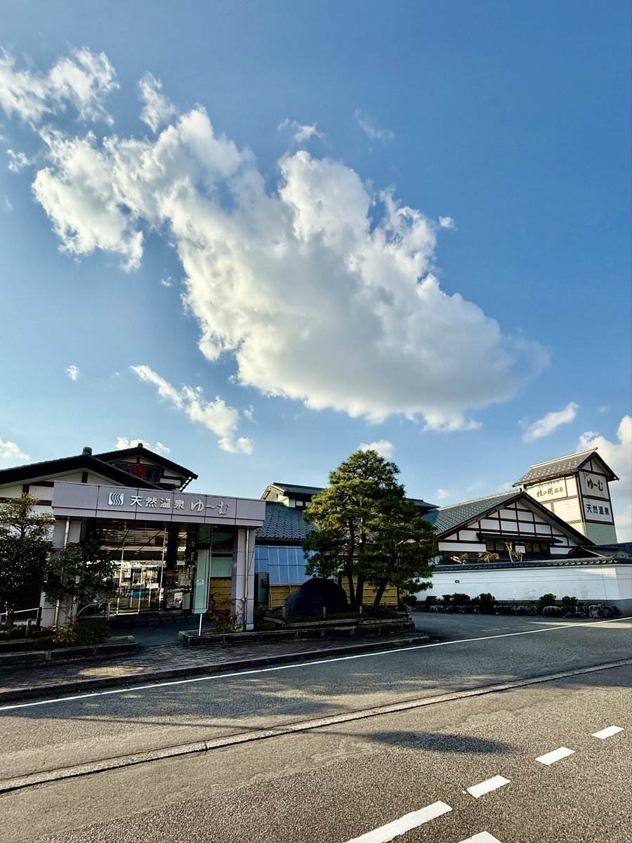 きよっち様 NEW GUCCI x ADIDAS ZX 8000 'AQUA GG MONOGRAM