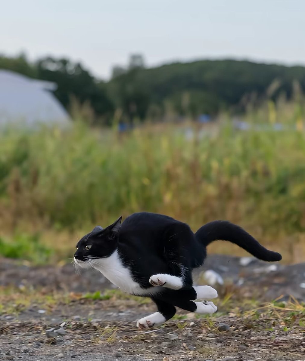 for Keonoooooooooo⚔️