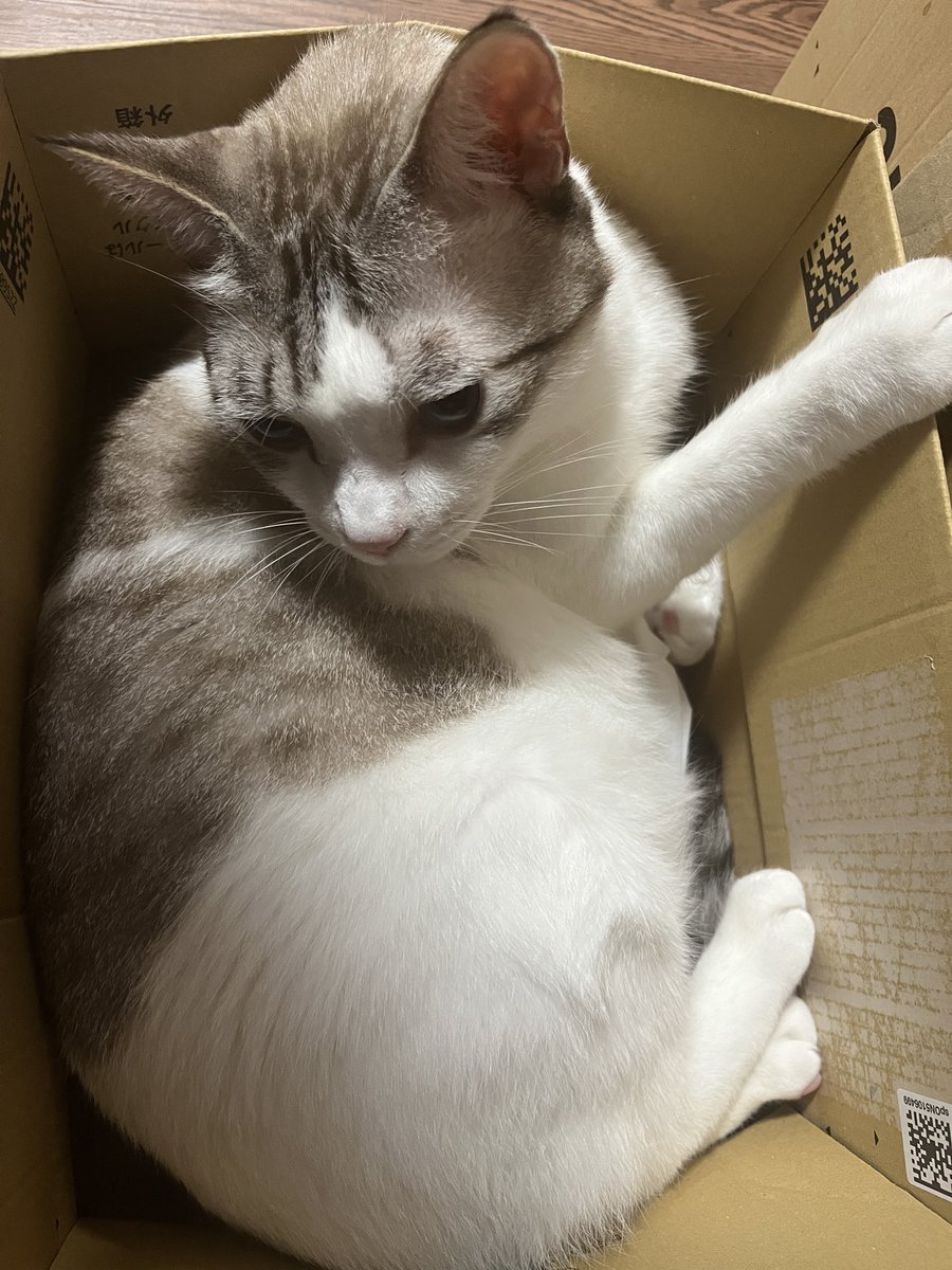寒くなってきましたね😌 