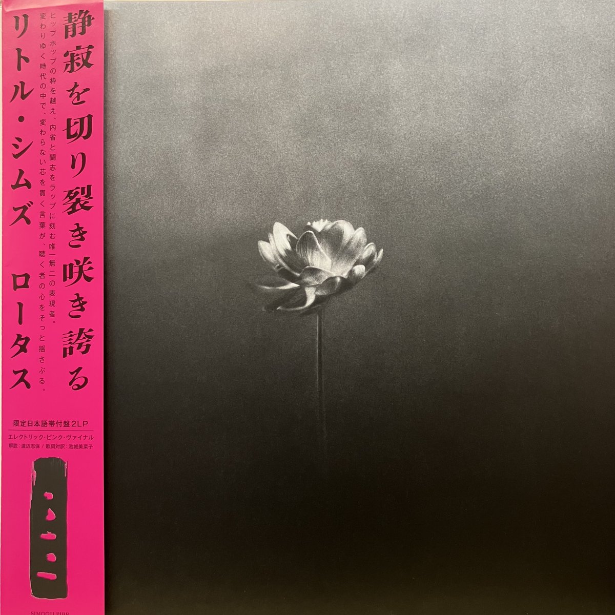 ミュージシャン Lw028la1 LAD MUSICIAN ONLINE SHOP