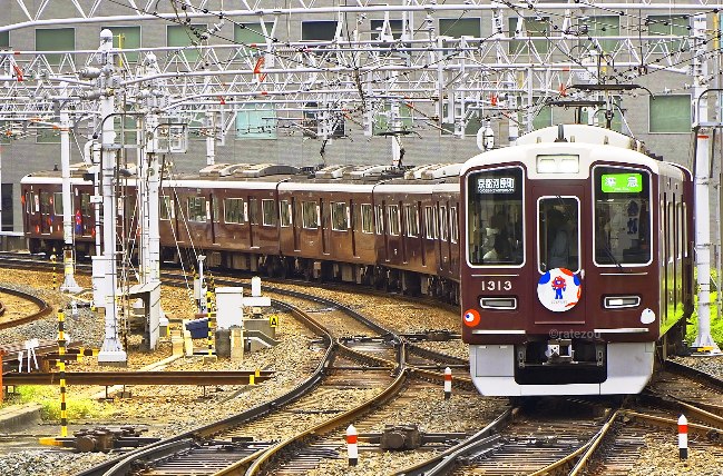 らてらて THE RERACS│ザ・リラクス / THE BELTED WIDE DENIM(GRAY)