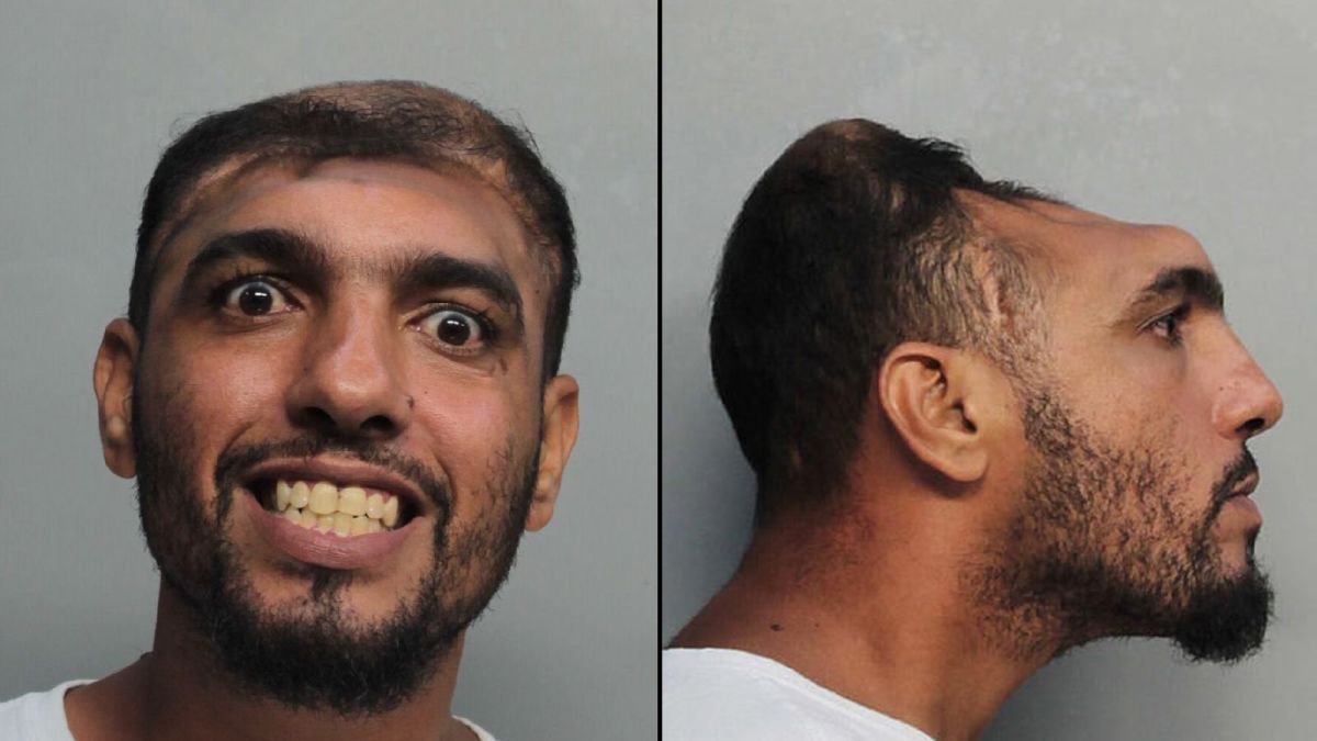 Cultination tweet media