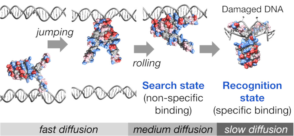 Agnes Noy tweet media