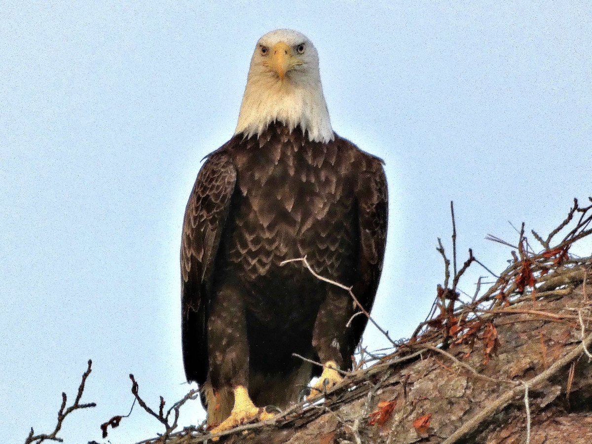 Good morning! #SunsetBeach <a href="/EdPiotrowski/">Ed Piotrowski</a> <a href="/medwick/">Gannon Medwick</a> <a href="/DylanHudlerWXII/">Dylan Hudler</a> <a href="/jamiearnoldWMBF/">Jamie Arnold WMBF</a> <a href="/LeeHaywoodWX/">Lee Haywood</a> <a href="/dogwoodblooms/">Cassie Clark</a> <a href="/marioncaldwx/">Marion Caldwell</a> <a href="/JustinMcKeeWx/">Justin McKee</a> <a href="/StarboardRail/">The Starboard Rail</a> <a href="/ThePhotoHour/">#ThePhotoHour</a> <a href="/Christina4casts/">Christina Anthony</a> <a href="/CMorganWX/">Christian Morgan</a> <a href="/AndrewWMBF/">Andrew Dockery</a> <a href="/ScottyPowellWX/">Scotty Powell</a> <a href="/jgreenhillwx/">Jenna Greenhill</a> <a href="/TimBuckleyWX/">Tim Buckley</a> <a href="/matt_wx/">Meteorologist Matt Bullock</a> <a href="/clairefrywx/">Claire Fry</a>