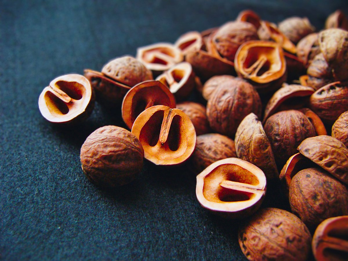 文房具 古銅 南瓜 水滴 大正十一年皇后陛下賜 文字在 文房具 古銅 南瓜 水滴 大正十一年皇后陛下賜 文字在 円珍謚号