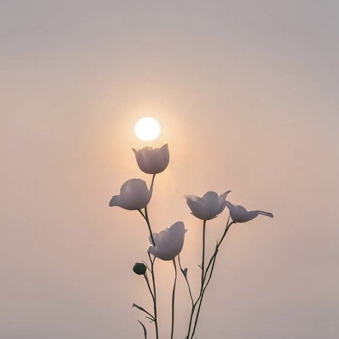 •
—————— 🍃🌼🍃🌼
“When two hearts are meant for each other, no distance is too far, no time too long and other love can break them apart.” - Rs 
—————————— 🍃🌼🍃🌼
•
    ©️misskittinn