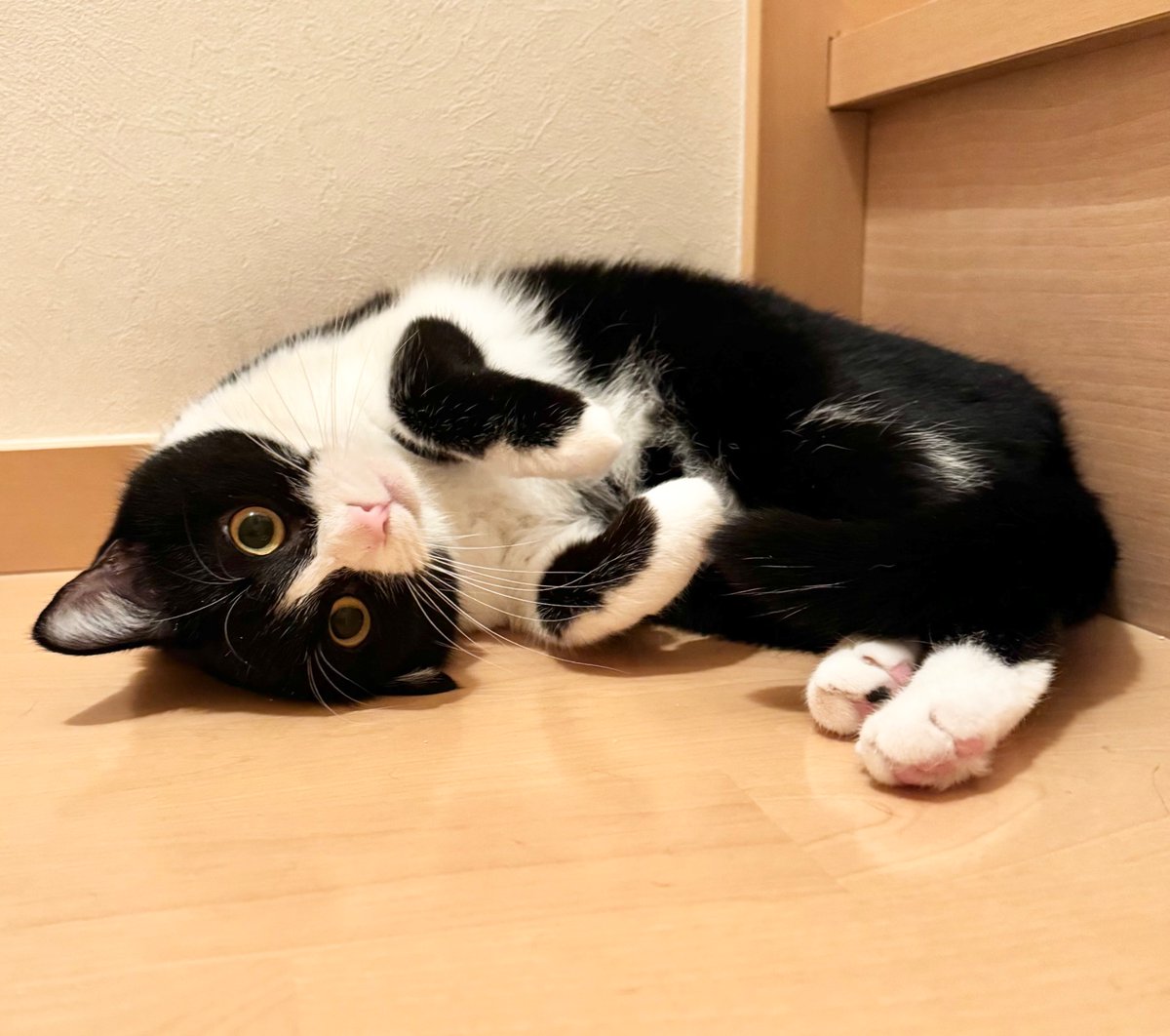 NonSmokingRider加藤 on X