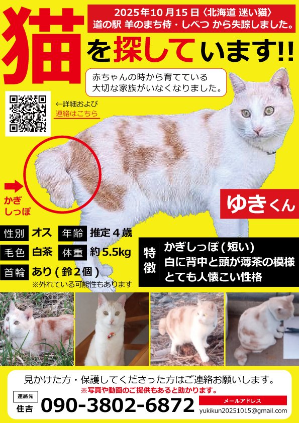 ふじさわなつき on X