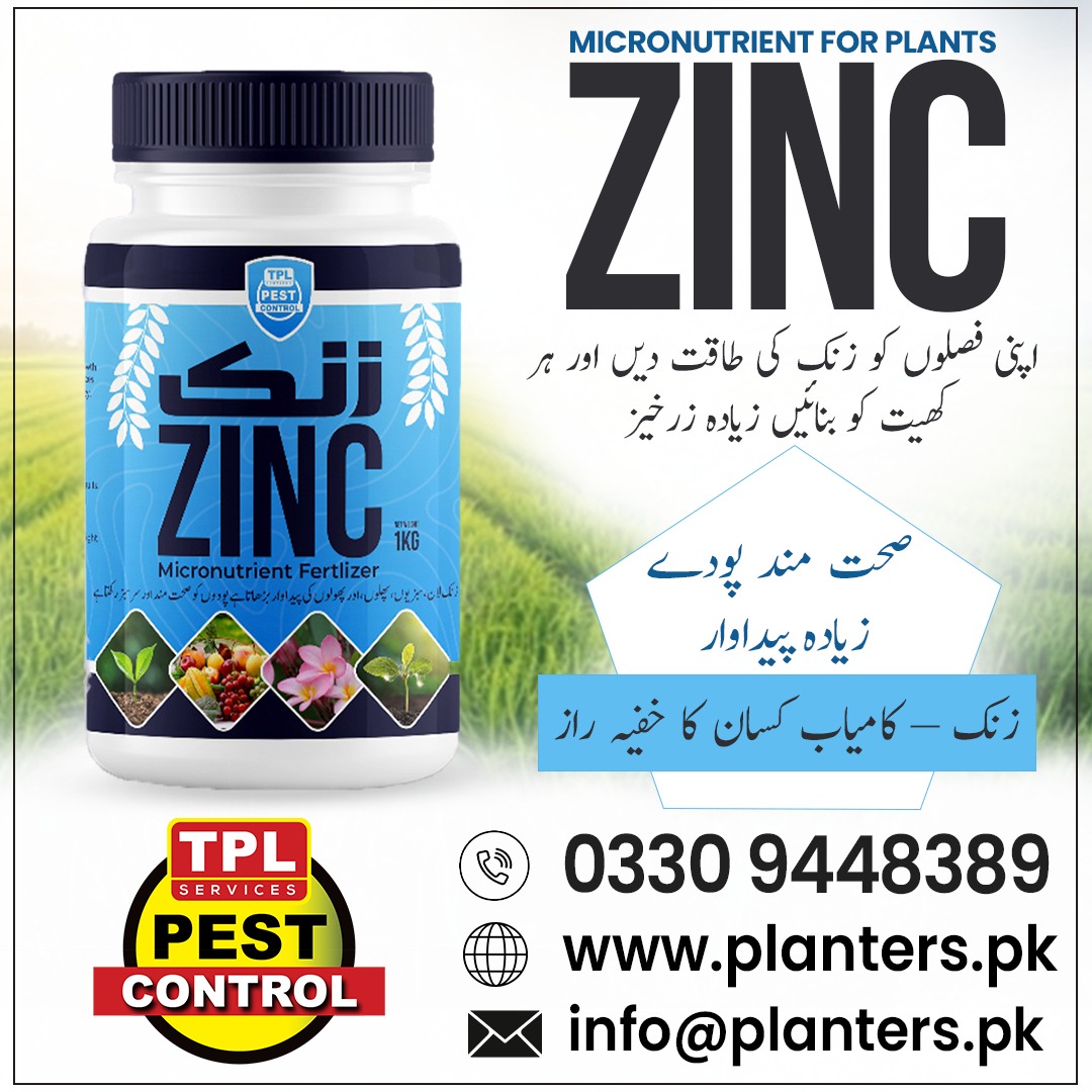 TPLPestControl's tweet image. زنک مائیکرو نیوٹرینٹ فرٹیلائزر مٹی میں زنک کی کمی کو پورا کرتا ہے.  پودوں کو طاقت بخشتا ہے۔  Call: 0512303380  website: planters.pk daraz.pk/shop/gsyzdz7m #TPLPestControl #ZincForPlants #MicronutrientFertilizer #HealthyCrops #BetterYield #FarmingSolutions