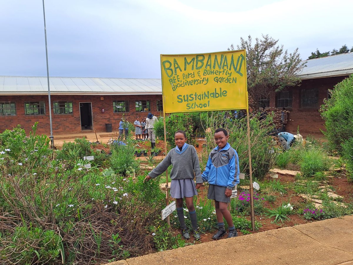 EFTEON team Zanele Shezi &amp; Sachin Doarasamy, in collaboration with One Planet SA, at Bambanani Primary school, planting an indigenous &amp; biodiversity garden, phase 2. <a href="/NRF_News/">National Research Foundation of South Africa</a> <a href="/dstigovza/">DEPARTMENT OF SCIENCE,TECHNOLOGY & INNOVATION</a>