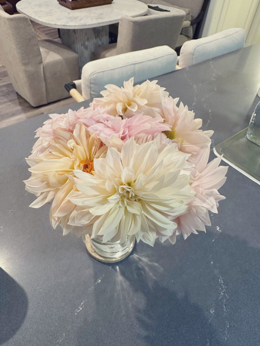 Dahlia season is still going strong in California 🩷