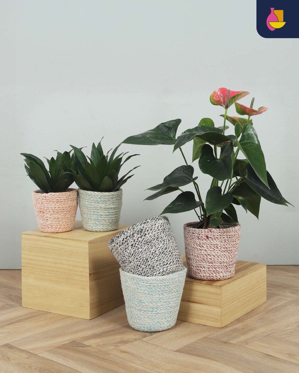 Window Sale! Basket Yvelin in stylish color mixes like Black-White, Bordeaux-White &amp; Turquoise-White. Available in Ø11 &amp; Ø14 cm with liner — perfect for plants. Limited stock – once gone, gone! #WindowSale #BunnikCreations #BasketYvelin