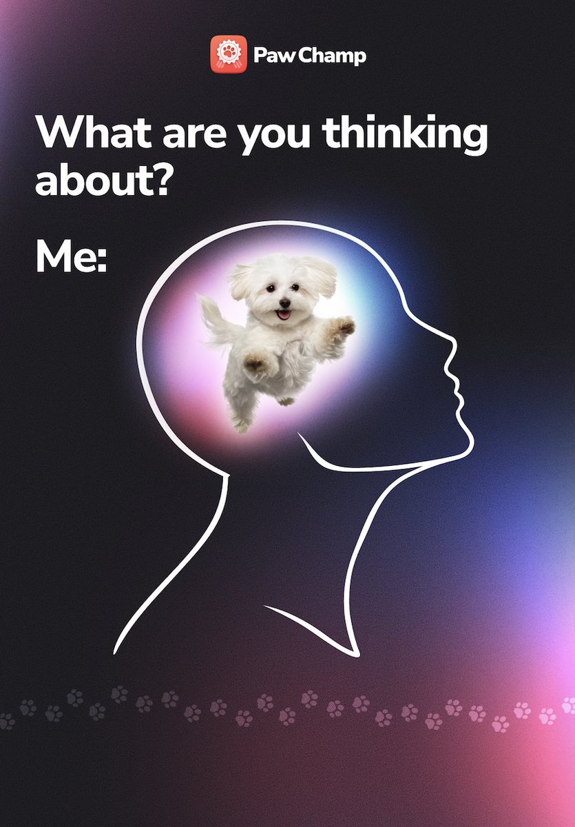 PawChamp's tweet photo. Who else is thinking about their pup right now? 🐶🧠

#dogsofX #DogsLover #pawchamp https://t.co/yLVrfmMLoa