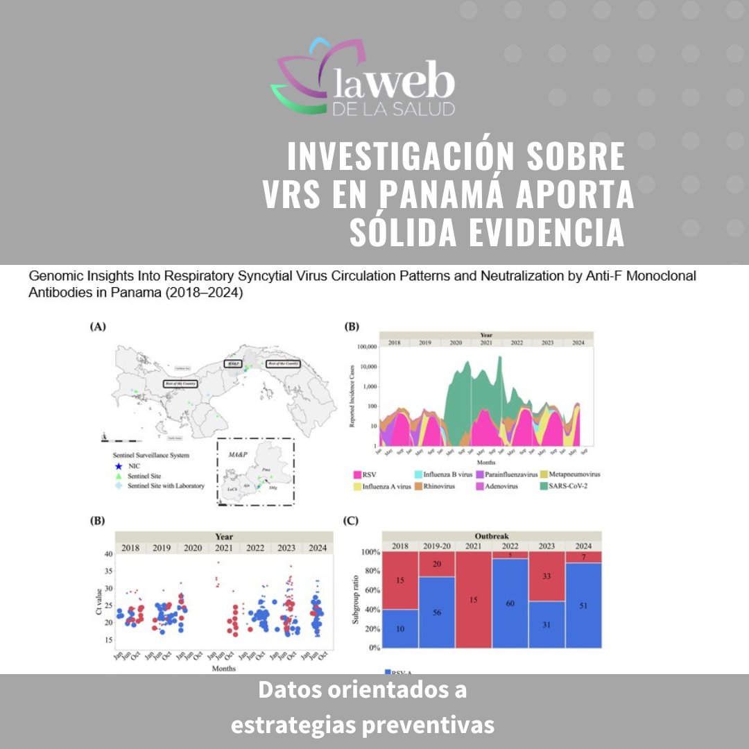 Investigación sobre Virus Respiratorio Sincitial (VRS) en Panamá del <a href="/InstitutoGorgas/">Instituto Conmemorativo Gorgas</a> <a href="/UNIVERSIDAD_PMA/">Universidad dePanamá</a> ofrece sólida evidencia para estrategias preventivas; apoyo de <a href="/senacyt/">Senacyt Panamá</a> <a href="/SaludISCIII/">Instituto de Salud Carlos III (ISCIII)</a> 
<a href="/MINSAPma/">Ministerio de Salud de Panamá</a> <a href="/AbregoLeyda/">Leyda Abrego</a> <a href="/crivbaip/">Centro de Innovación en Vacunas y Biofármacos AIP</a> <a href="/EOrtegaBarria/">Eduardo Ortega-Barria</a> <a href="/SNIAIP_Panama/">Sistema Nacional de Investigación de Panamá AIP</a> 
lawebdelasalud.com/investigacion-…