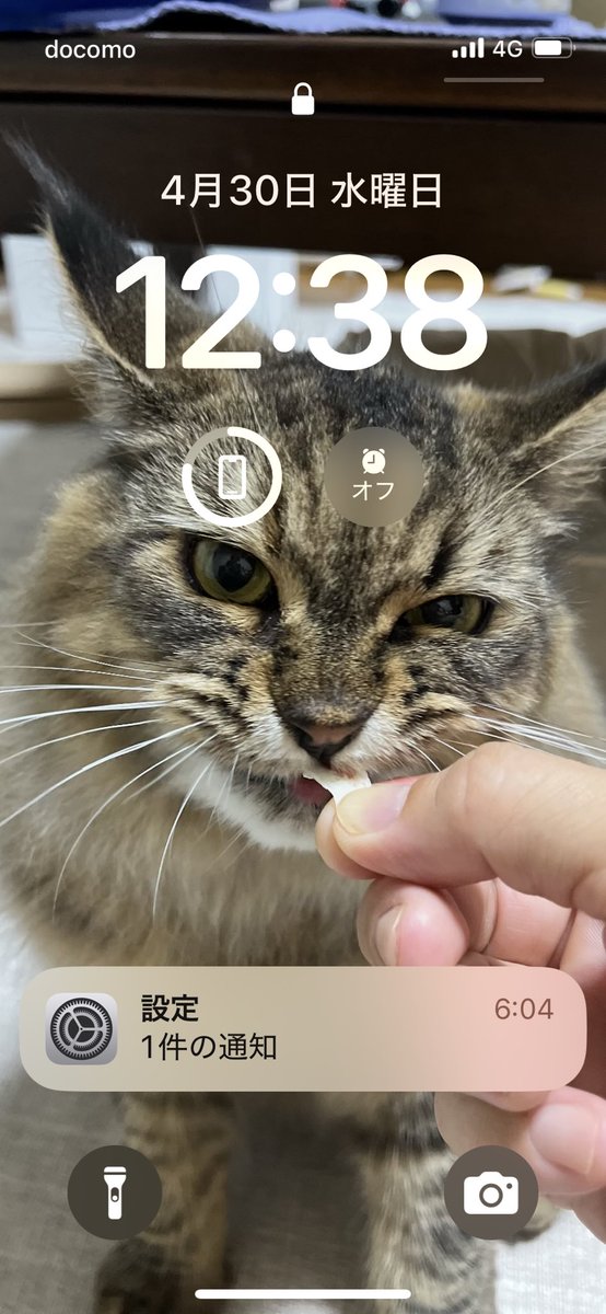 もずく酢 iPhone kei⑧❷🎃🍭👻 on X