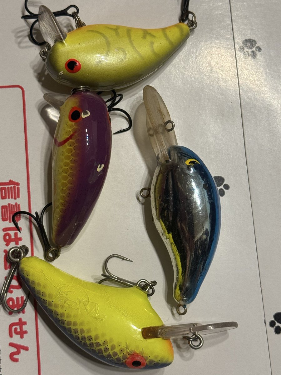 まぁくんのペットちゃんねる1104040コーキング まぁくんのペット