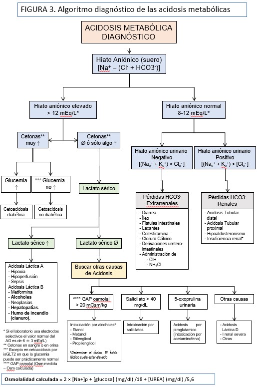 🧪Acidosis metabólica? Calcula el anión gap.
Si está ↑ hay ácidos “no invitados” y el HCO₃⁻ huye por estrés.
🔥Causas: cetoacidosis, a láctica, metanol, etilenglicol.
🎯Clave: tratar causa, vigilar K⁺, HCO3 casos críticos.
nefrologiaaldia.org/es-articulo-al…
👇 <a href="/SOMANEorg/">Sociedad Madrileña de Nefrología (SOMANE)</a> <a href="/SENefrologia/">S.E.N. Nefrología</a>