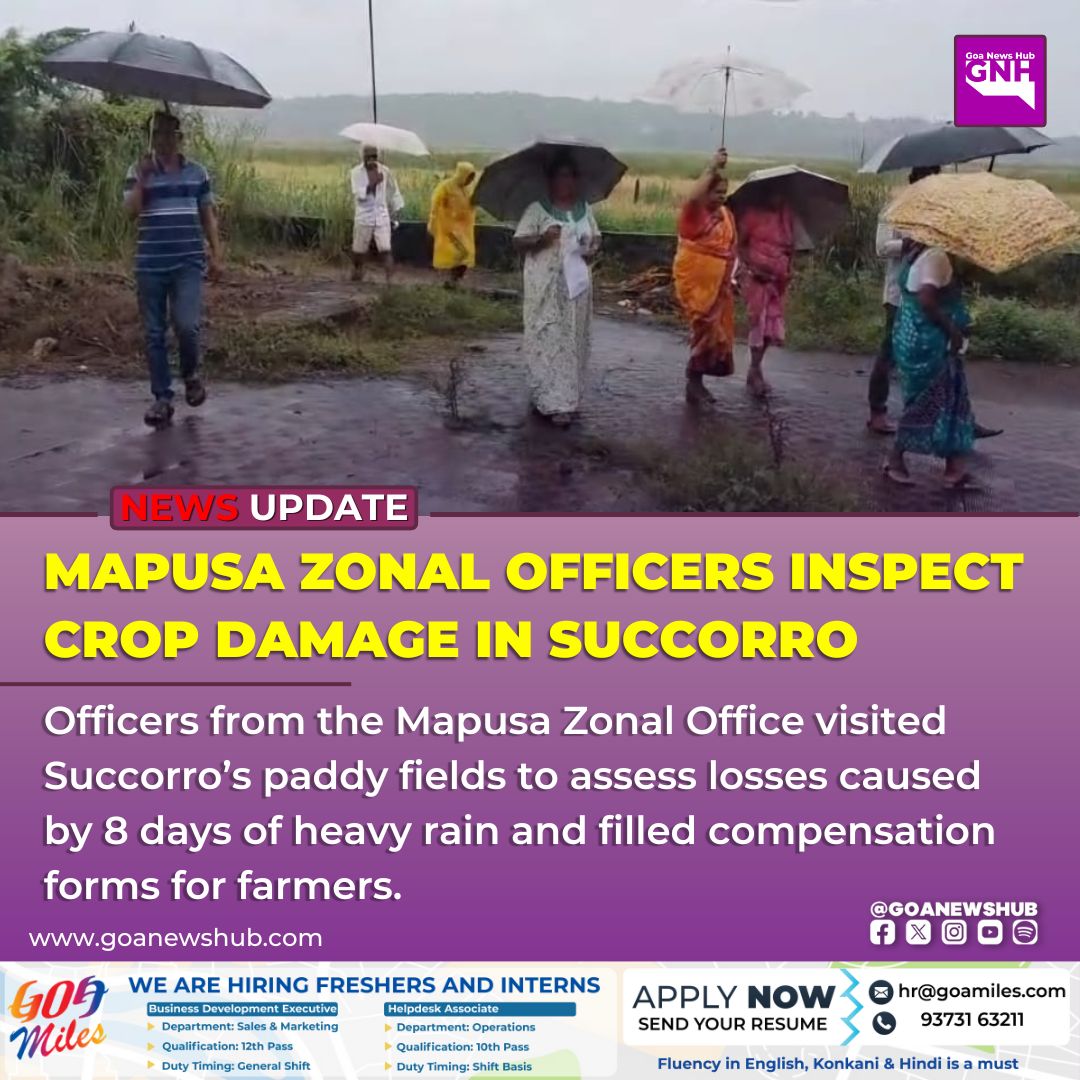goanewshub's tweet image. Mapusa Zonal Officers Inspect Crop Damage in Succorro

Officers from the Mapusa Zonal Office visited Succorro’s paddy fields to assess losses caused by 8 days of heavy rain and filled compensation forms for farmers.
#Goa #Farmers #RainDamage #Succorro