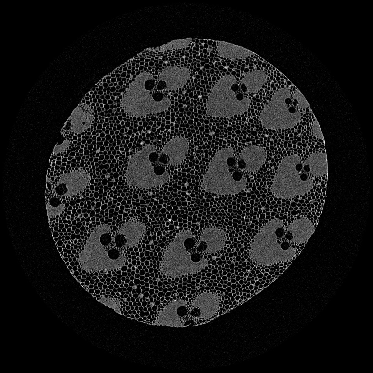 Wonderful_Sci's tweet image. High Resolution #MicroCT of a Wooden Toothpick

Scanned with #NeoScan N80 at 1.4µm voxels, revealing growth rings, tracheids &amp;amp; rays in stunning detail - helping researchers study wood microstructure non-destructively.

💡 Curious to test your sample? info@wonderfulscientific.com