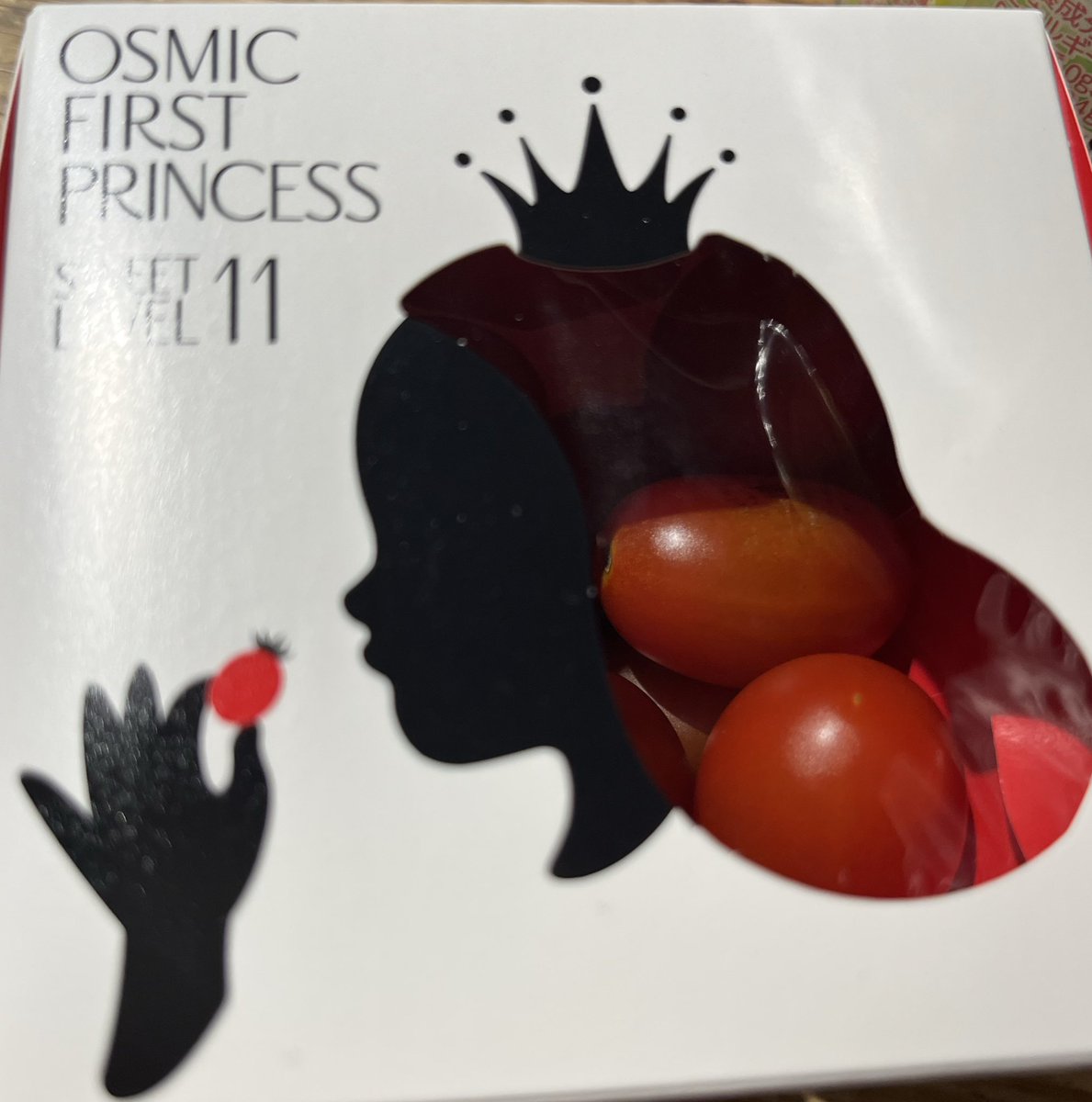 Ken.T様 リクエスト 2点 まとめ商品 Kawasaki Ninja1000SX (2BL-ZXT02K) POWERBOX TWOTAIL TitanBlue K