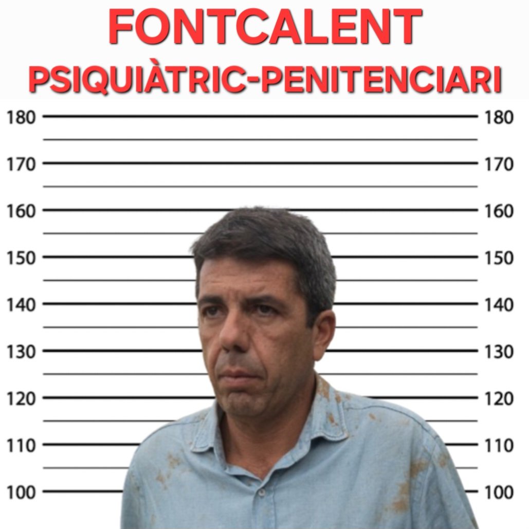 Destitució
Avaluació psiquiàtrica.
Judici
Condemna.
Empresonament.

#MazónDimissió
#MazónAFontcalent