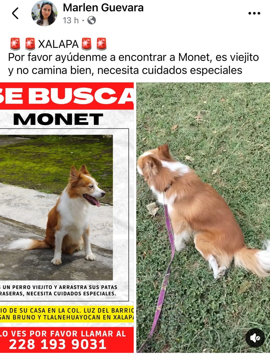 RT x MONET🐶
<a href="/mayteponm/">Mayte P.</a> <a href="/mageba04/">Gina alarcon</a> <a href="/Corintiacruz/">Corintia Cruz Oregón</a> <a href="/VialidadXalapa/">Vialidad Xalapa 🚦 VX 🌎</a> <a href="/AbelMucino/">Abel Muciño</a> <a href="/tierraverde1943/">ℓια ₊˚.༄ *ﾟ🌱</a> <a href="/pilykuera/">Pily Peregrina</a> <a href="/CECILLIA36/">CECILIA MENDEZ</a> <a href="/sara_juarez/">saraliz</a> <a href="/Ydlan/">Naldy Patricia</a> <a href="/fherciencias/">Soy Fher!</a> <a href="/camellinlove/">Porque soy xalapeño</a> <a href="/ArrezEdda/">Edda Arrez</a> <a href="/PopColorsXal/">PopCX</a> <a href="/RoxanaAAT/">Feto de PicaFresa🍓</a> <a href="/penelopemoncayo/">Penélope Moncayo.</a>  <a href="/rociosaiz/">Rocio Saiz</a> <a href="/Pechmed/">Peter Tweet</a> <a href="/marinavera100/">Marina Vera</a> #Tlalnelhuayocan #Xalapa RT